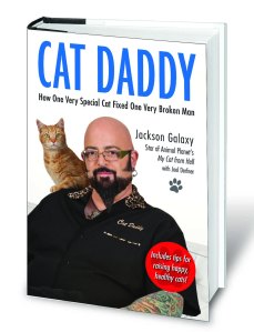 cat-daddy-3d